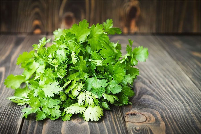What is the Best Coriander Substitute? | See Our Cooking Tips & Health Benefits