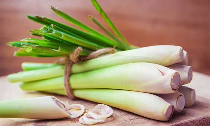 5 Best Lemongrass Substitute You Need To Know For Your Next Asian Dinner