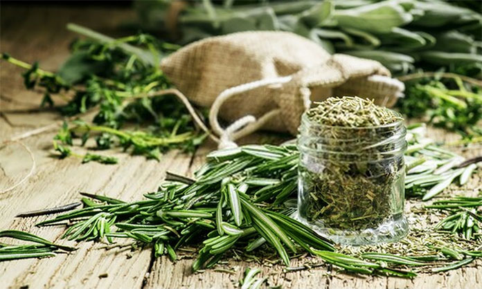 How To Dry Rosemary