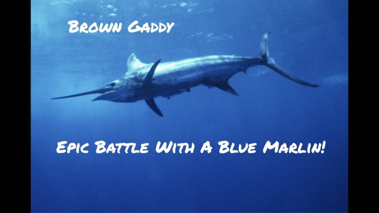 Is Blue Marlin Good To Eat?